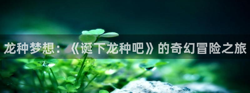 禁漫天堂最新地址：龙种梦想：《诞下龙种吧》的奇幻冒险之旅