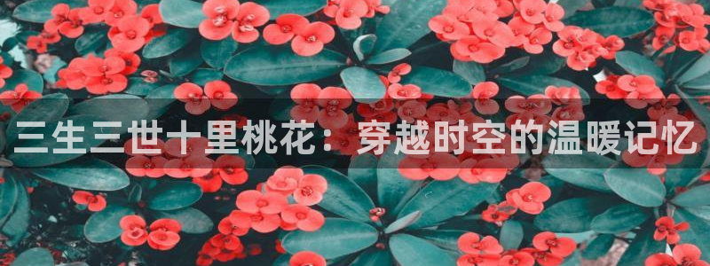 禁漫天堂 最新网址
