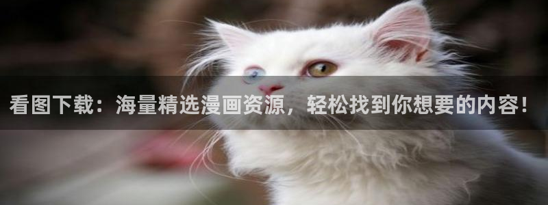51禁漫网站