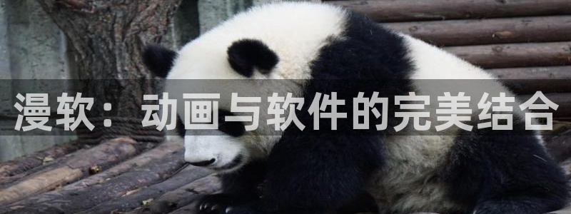禁漫天堂网站多少