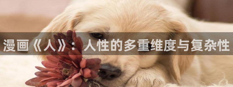 禁漫天堂2