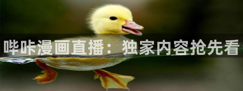 a漫禁漫天堂免费