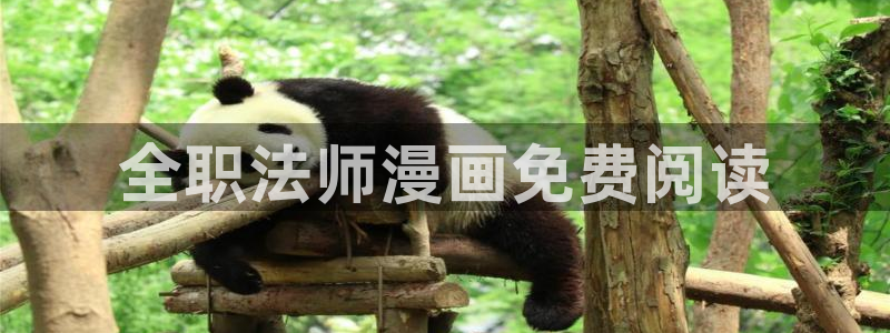 禁漫天堂要开加速器吗