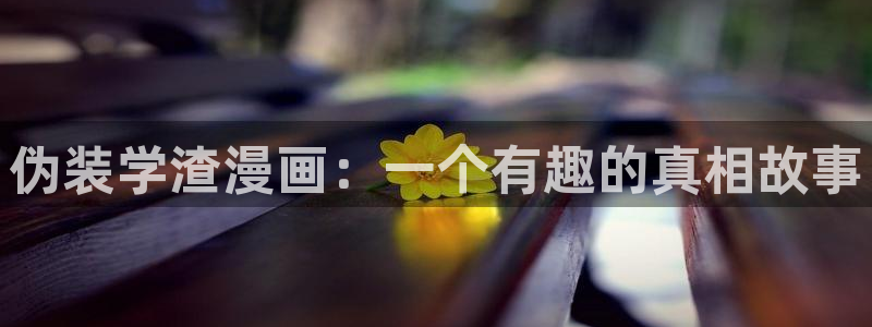 禁漫天堂a漫网站