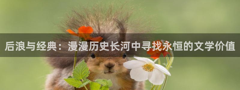 禁漫天堂导航