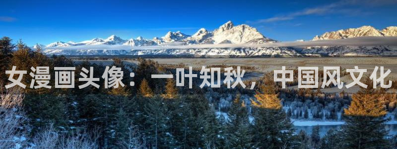 禁漫天堂vip