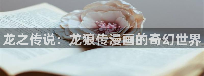 禁漫天堂闪退