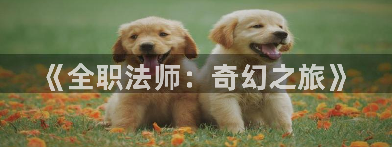 禁漫天堂直接进入