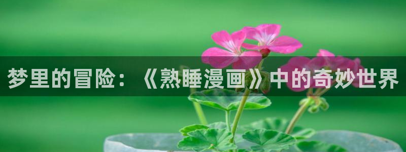 com.禁漫天堂
