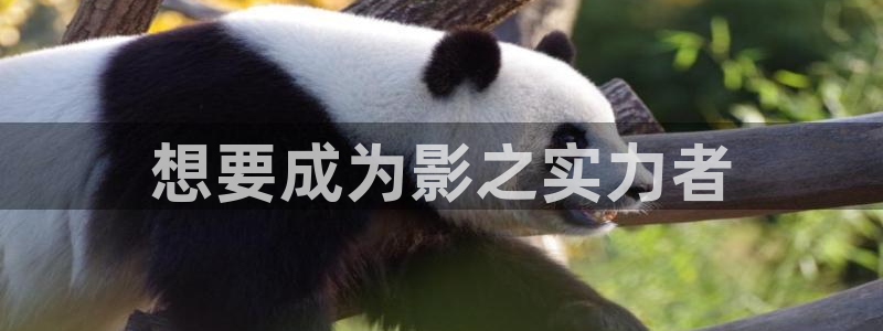 禁漫天堂官方入口