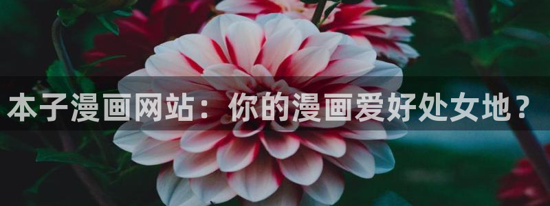 9.1.禁漫天堂