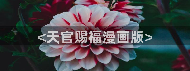 禁漫天堂在线网页版