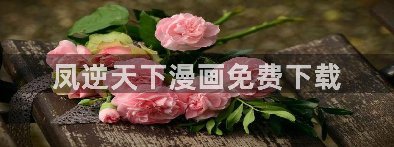 禁漫天堂2.0
