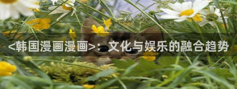 禁漫画天堂下载