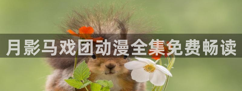 禁漫天堂加速器