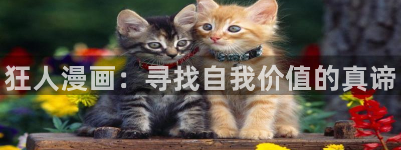 免费禁漫天堂网站