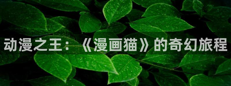 【免费a漫-禁漫天堂】：动漫之王：《漫画猫》的奇幻旅程