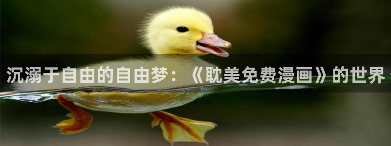 禁漫天堂官方入口：沉溺于自由的自由梦：《耽美免费漫画》的世界